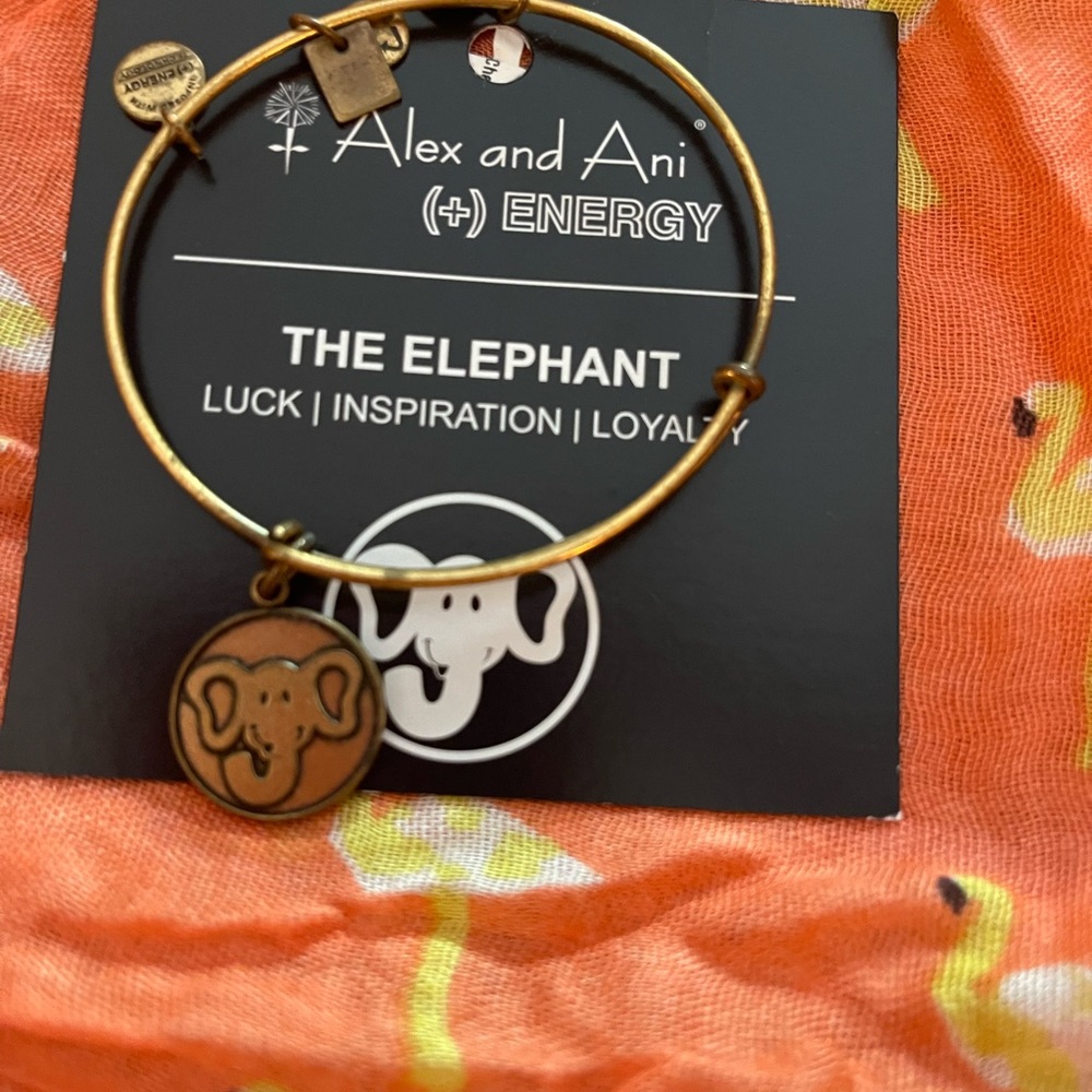 Alex and Ani bracelet